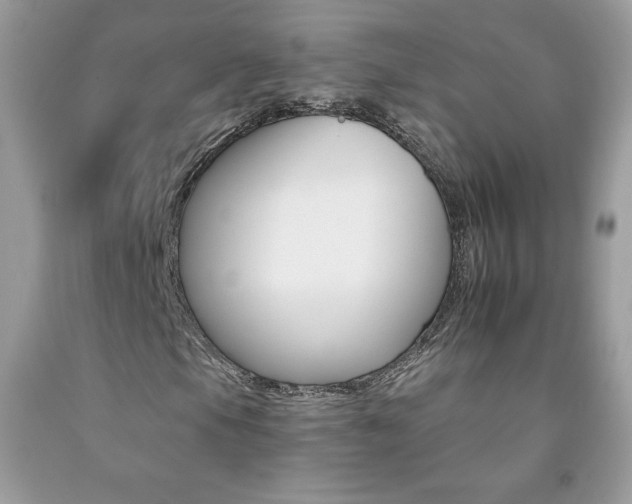 X0000092261105200709141020