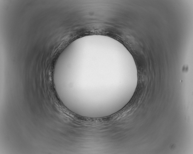 X0000092261106200709141020