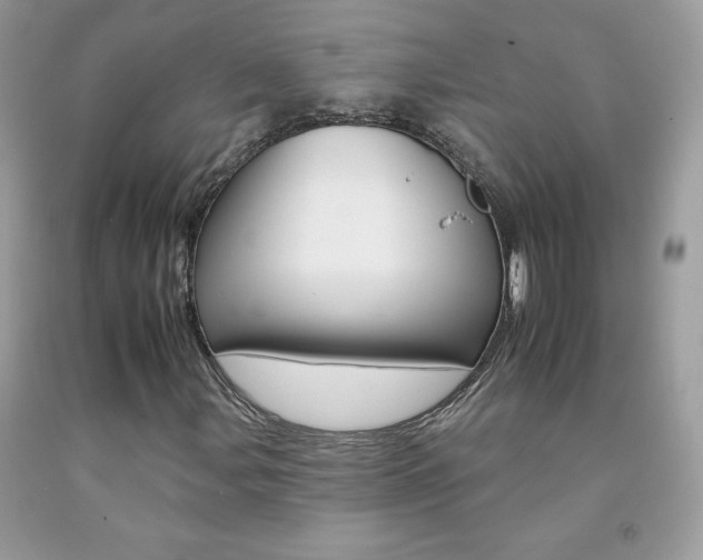 X0000092261107200709141020