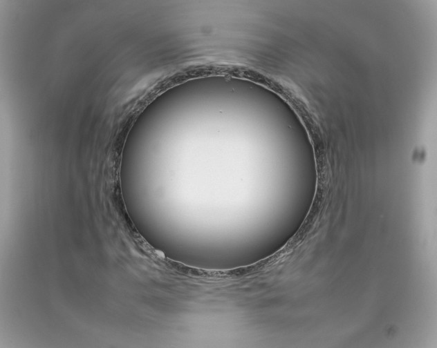 X0000092261110200709141020
