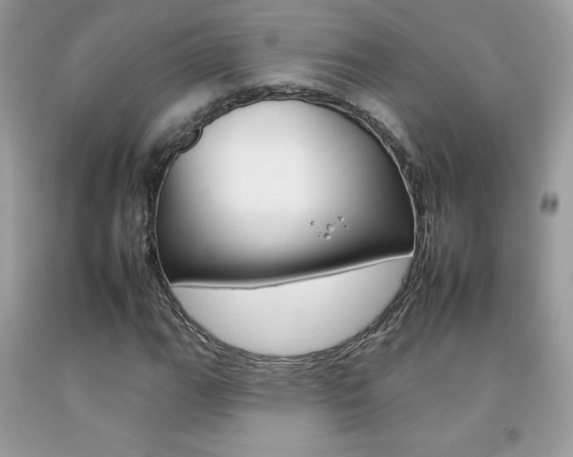 X0000092261111200709141020