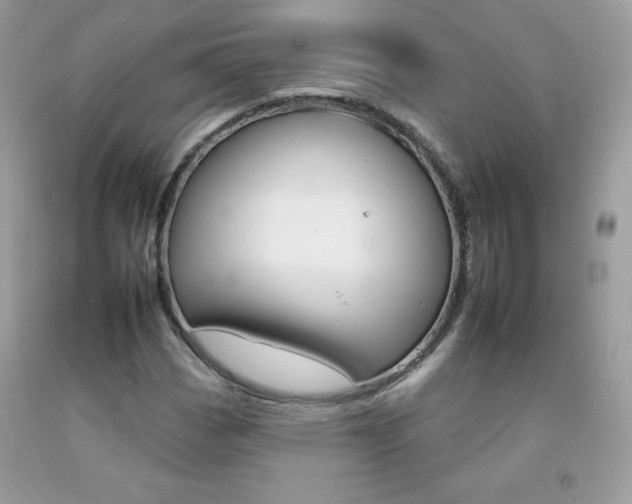 X0000092261113200709141020