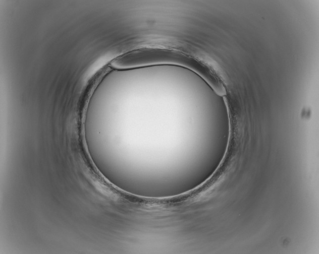 X0000092261114200709141020