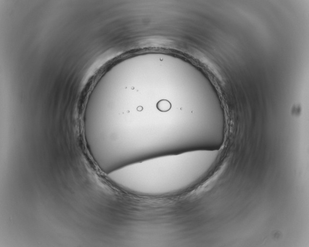 X0000092261117200709141020