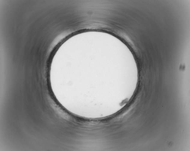 X0000092261122200709141020