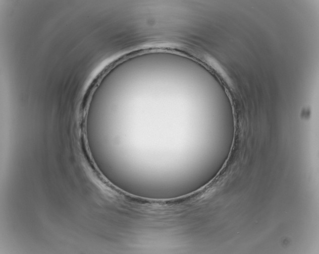 X0000092261124200709141020