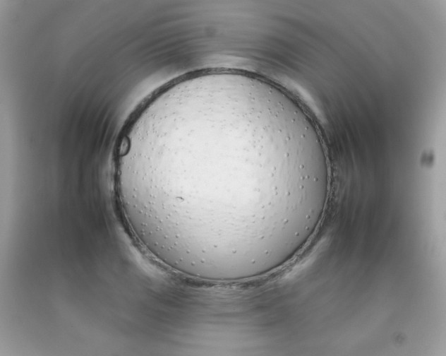 X0000092261125200709141020