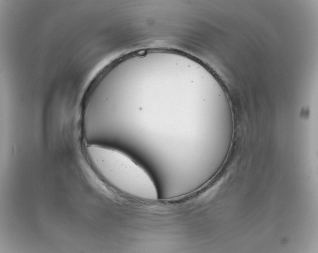 X0000092261126200709141020