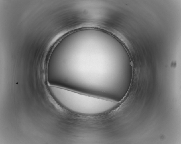 X0000092261127200709141020