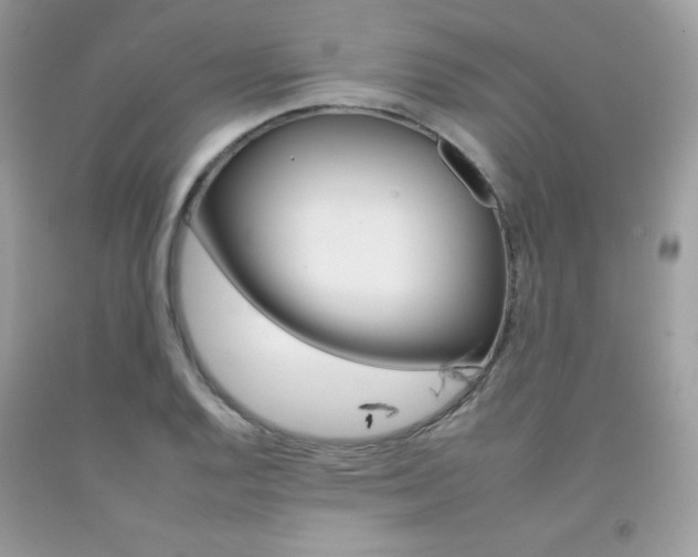 X0000092261128200709141020