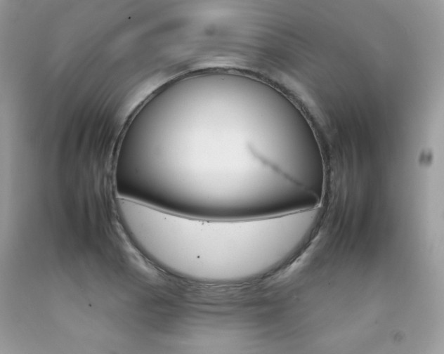 X0000092261129200709141020