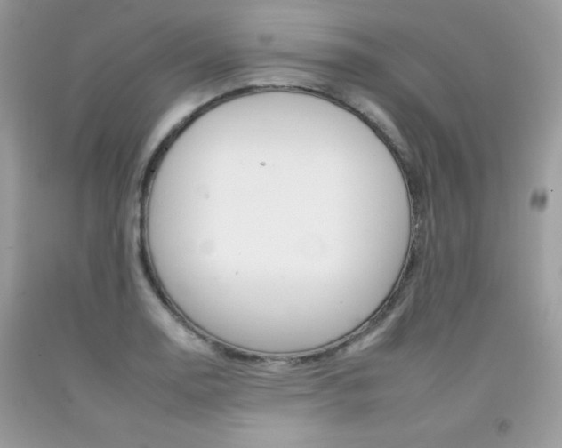 X0000092261130200709141020