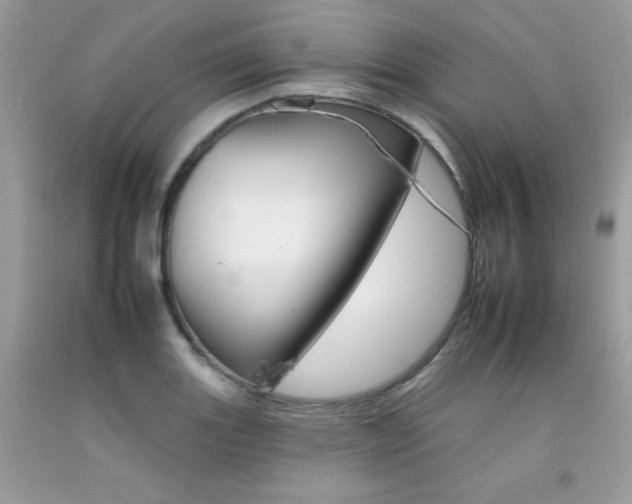 X0000092261131200709141020