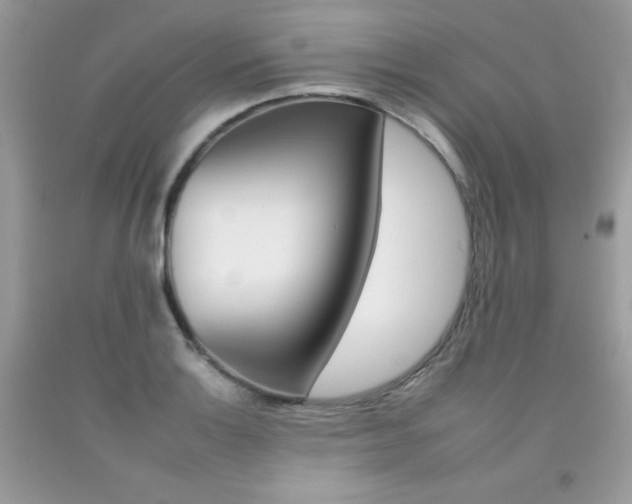 X0000092261132200709141020