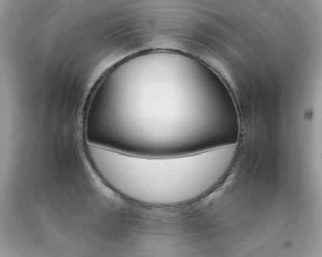 X0000092261133200709141020