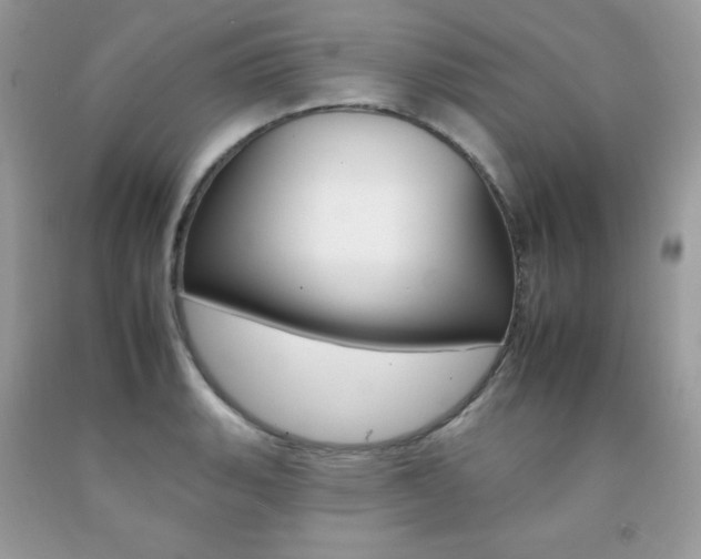 X0000092261135200709141021