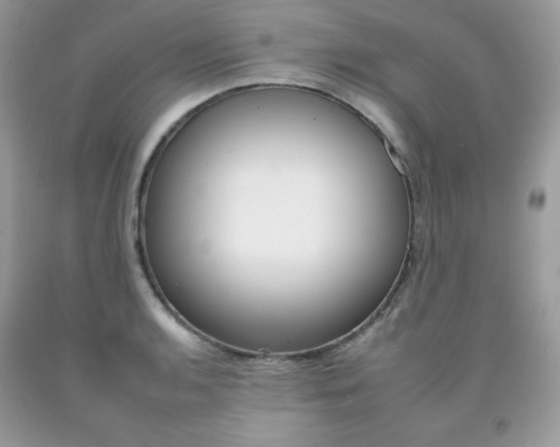 X0000092261136200709141021