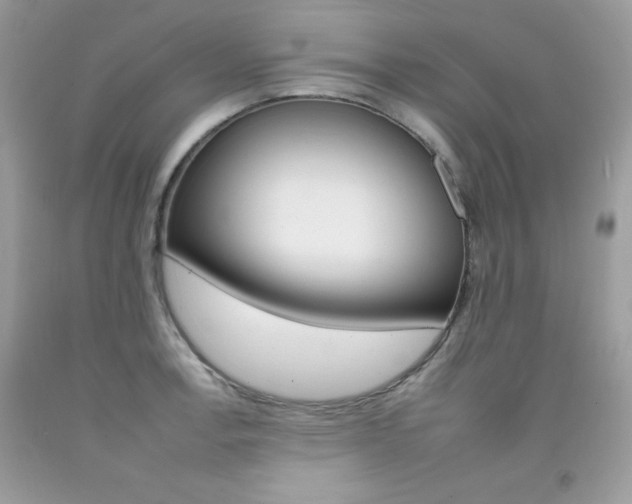 X0000092261138200709141021