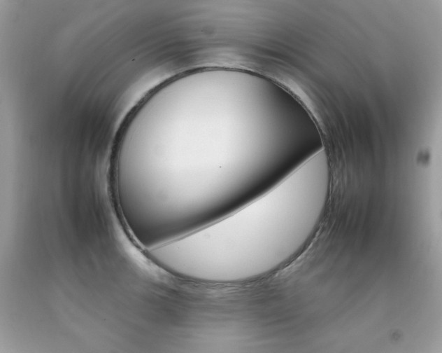 X0000092261139200709141021