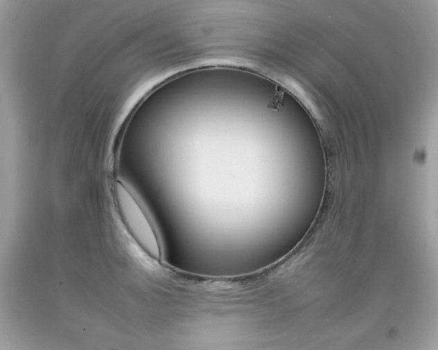X0000092261140200709141021