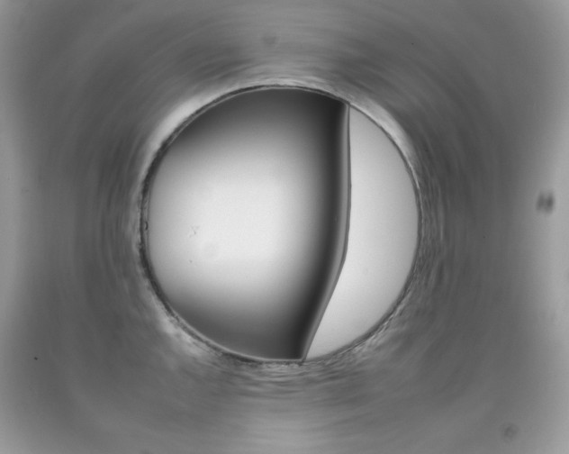 X0000092261144200709141021