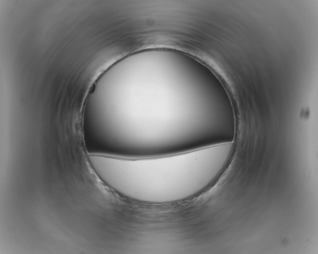 X0000092261145200709141021