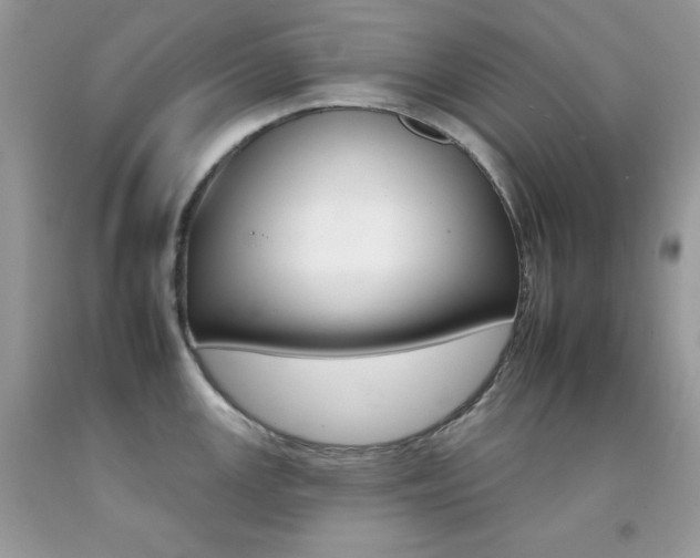 X0000092261147200709141021