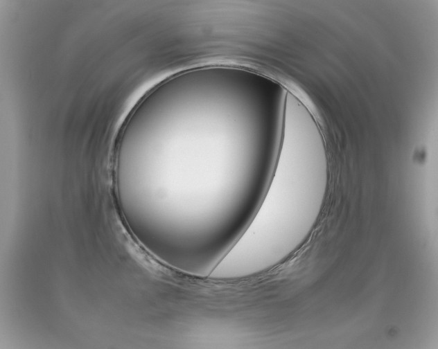 X0000092261148200709141021