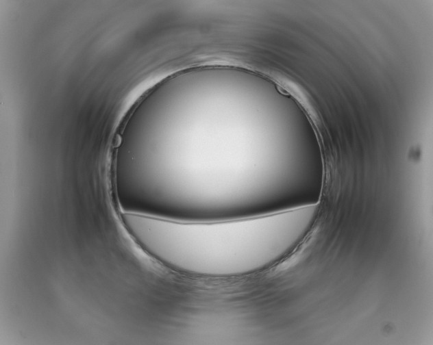 X0000092261149200709141021