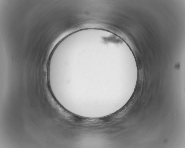 X0000092261150200709141021