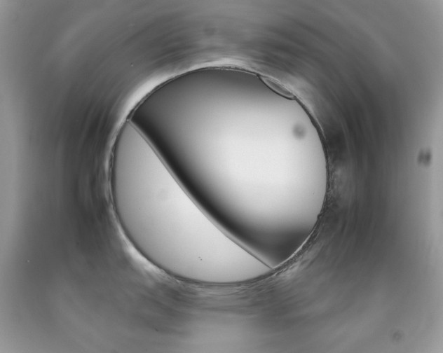 X0000092261151200709141021