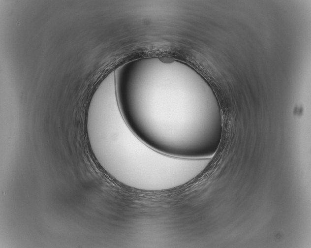 X0000092261153200709141020
