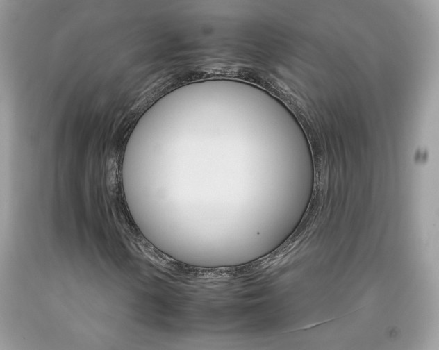 X0000092261154200709141020