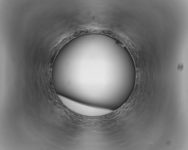 X0000092261157200709141020