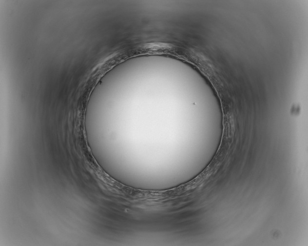 X0000092261158200709141020