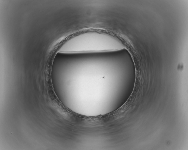 X0000092261159200709141020