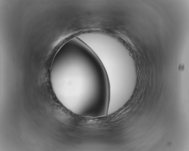 X0000092261160200709141020