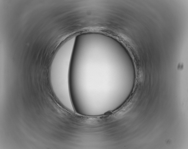X0000092261161200709141020