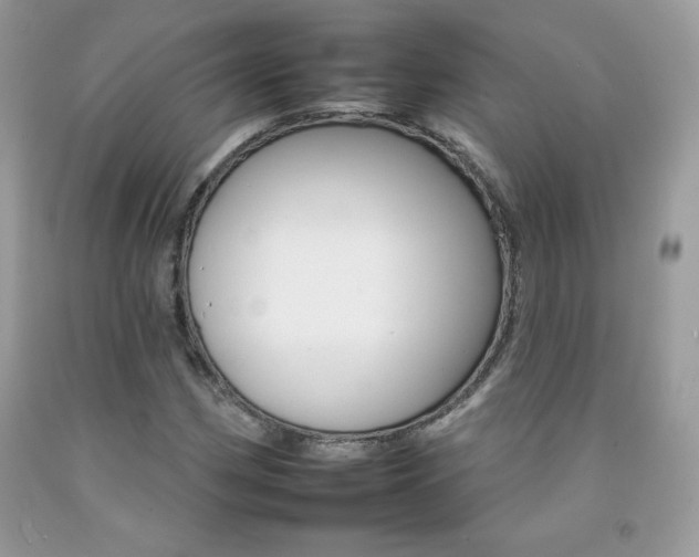X0000092261162200709141020