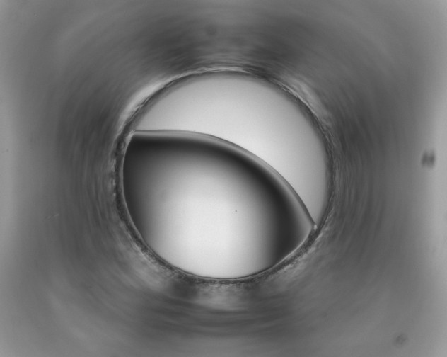 X0000092261164200709141020