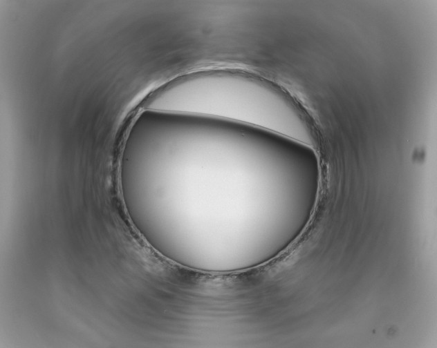 X0000092261165200709141020