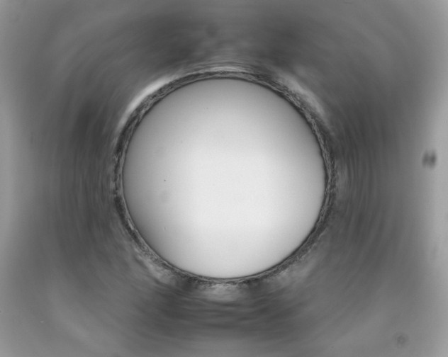 X0000092261166200709141020