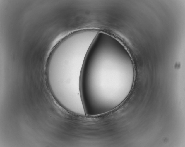 X0000092261168200709141020