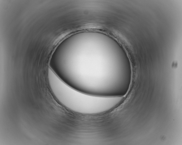 X0000092261169200709141020