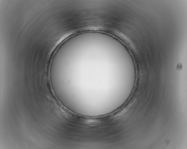 X0000092261170200709141020