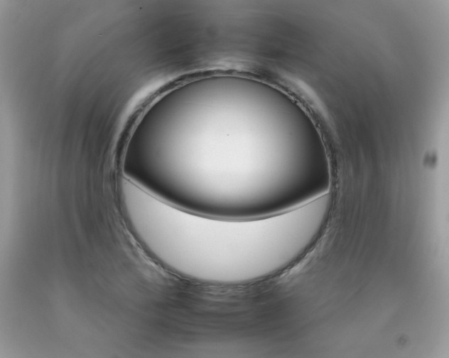 X0000092261172200709141020