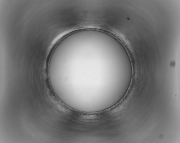 X0000092261174200709141020