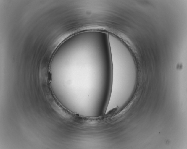 X0000092261177200709141020
