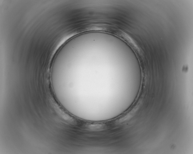 X0000092261178200709141020