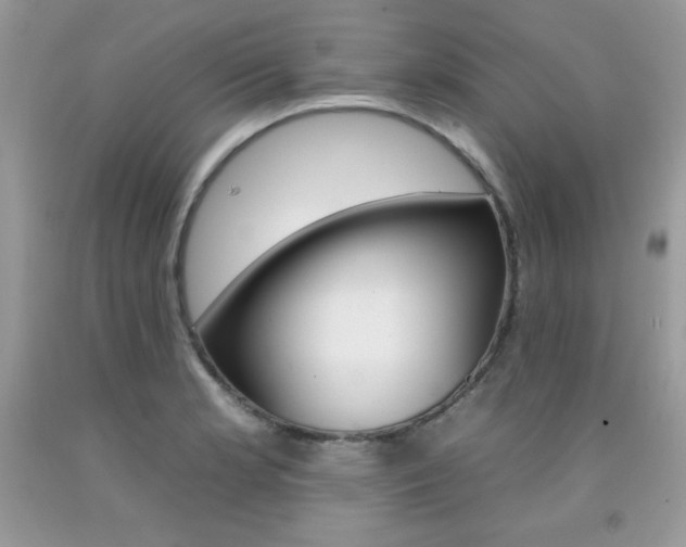 X0000092261181200709141020